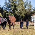 豪华帐篷 Jurta Pod Brzozami