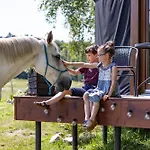 Jurta Pod Brzozami Pogrodzie