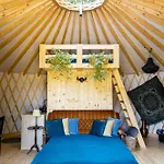 Jurta Pod Brzozami *