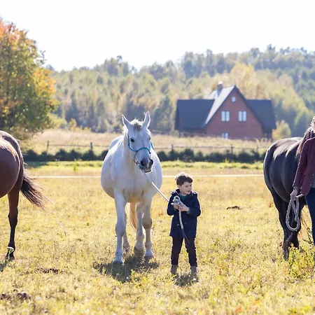 Jurta Pod Brzozami Luxury tent Pogrodzie