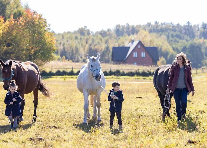 Jurta Pod Brzozami Luxury tent Pogrodzie