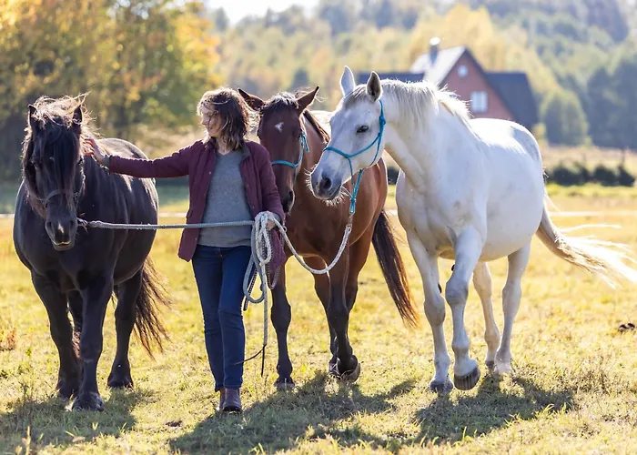 Jurta Pod Brzozami Pogrodzie