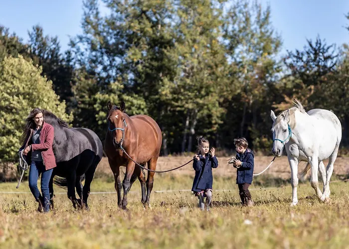 Luxury tent Jurta Pod Brzozami