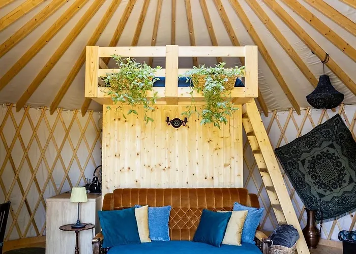 Jurta Pod Brzozami *